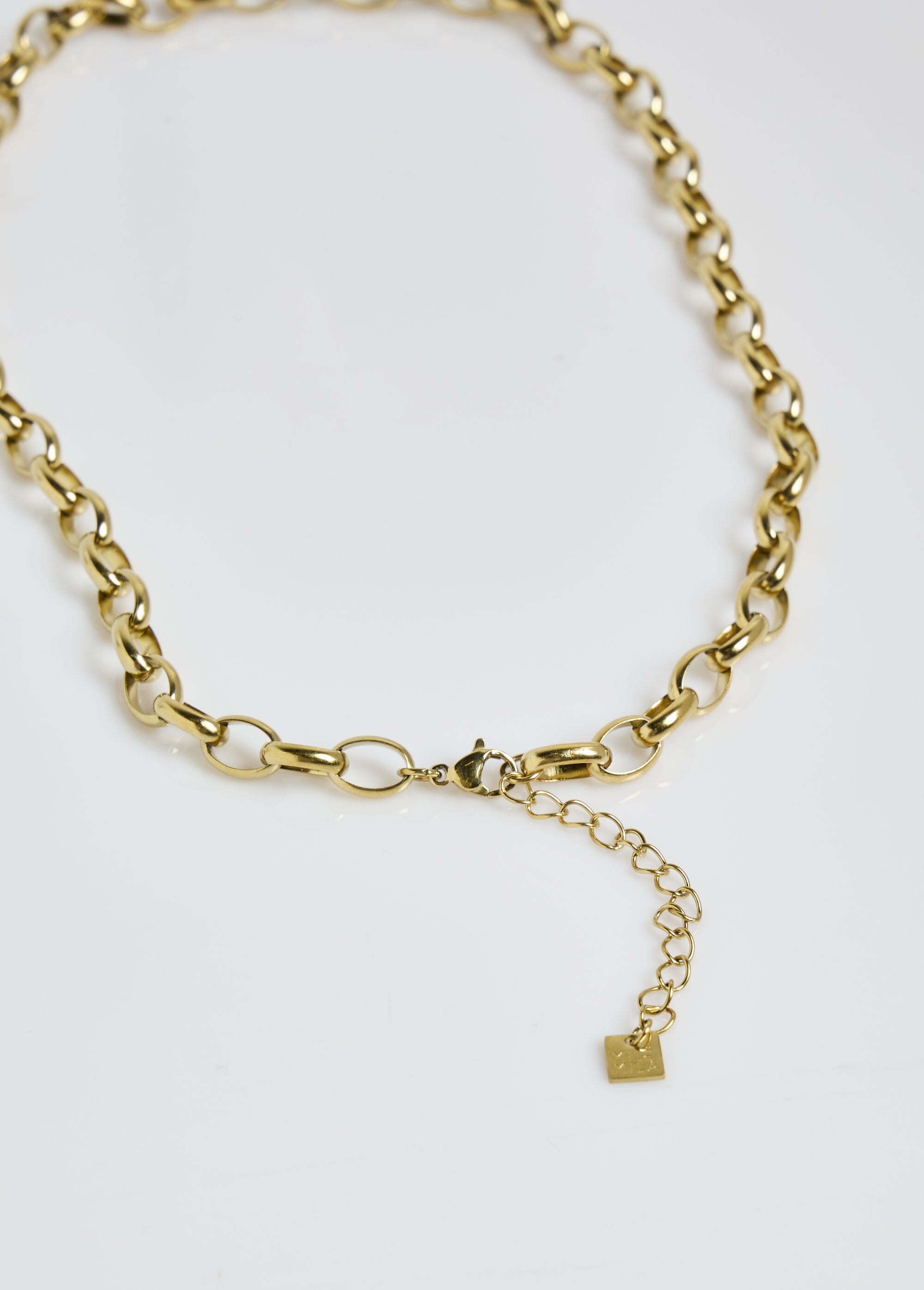 Stainless_steel_collar,_oval_curb_link_Golden_DE2_slim