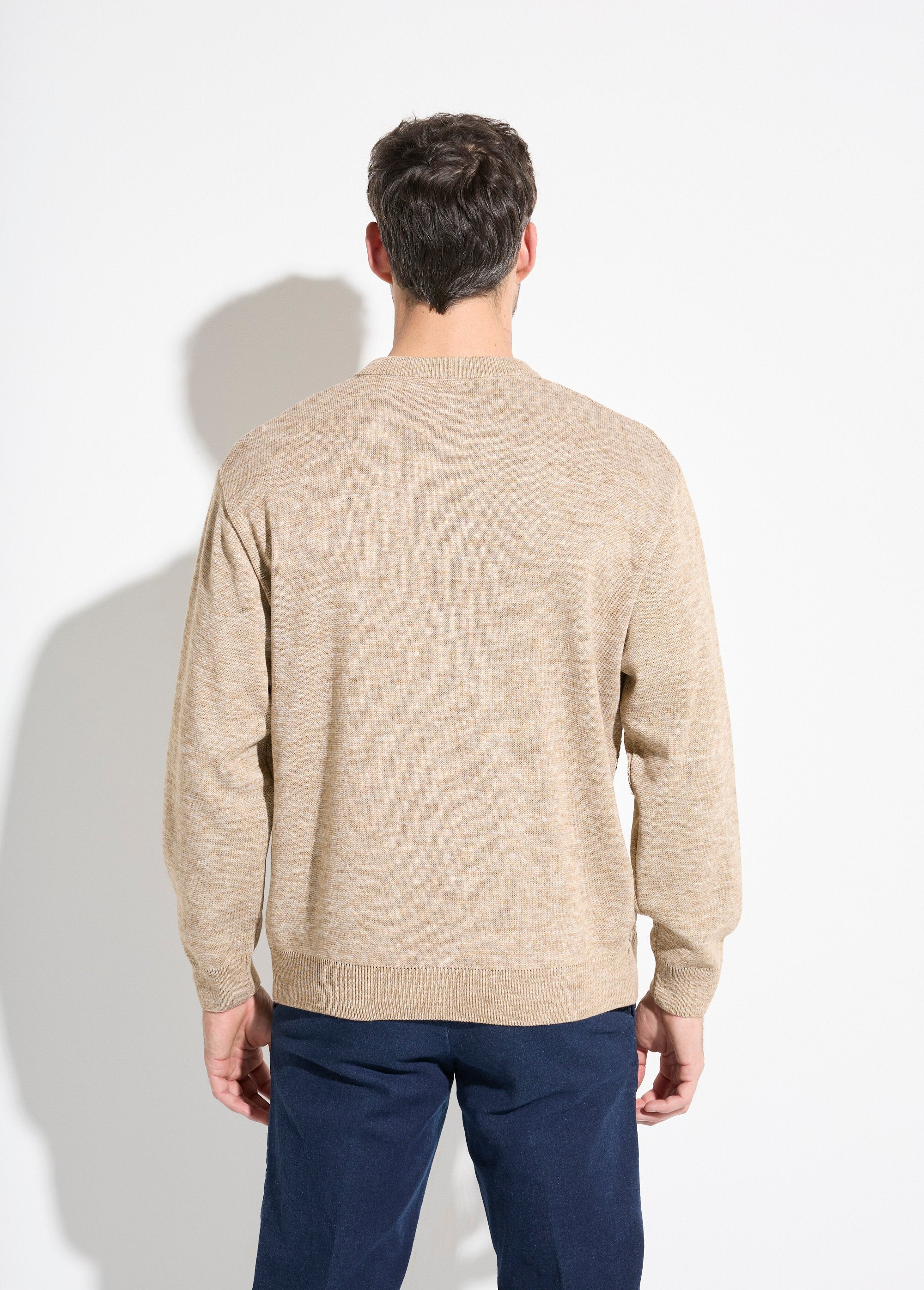 Fancy_knit_wool_sweater_with_V-neck_and_long_sleeves_Beige_DO1_slim
