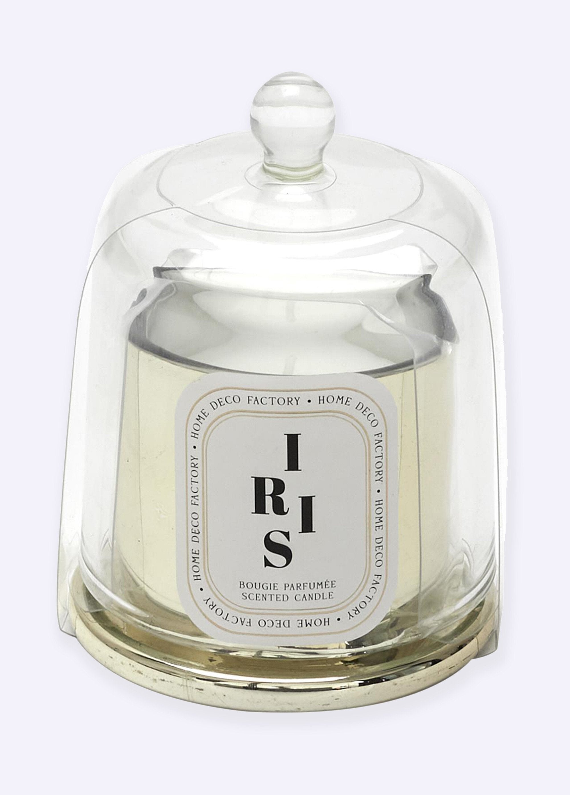 Surprise_jewel_candle_+_glass_dome_Iris_FA1_slim