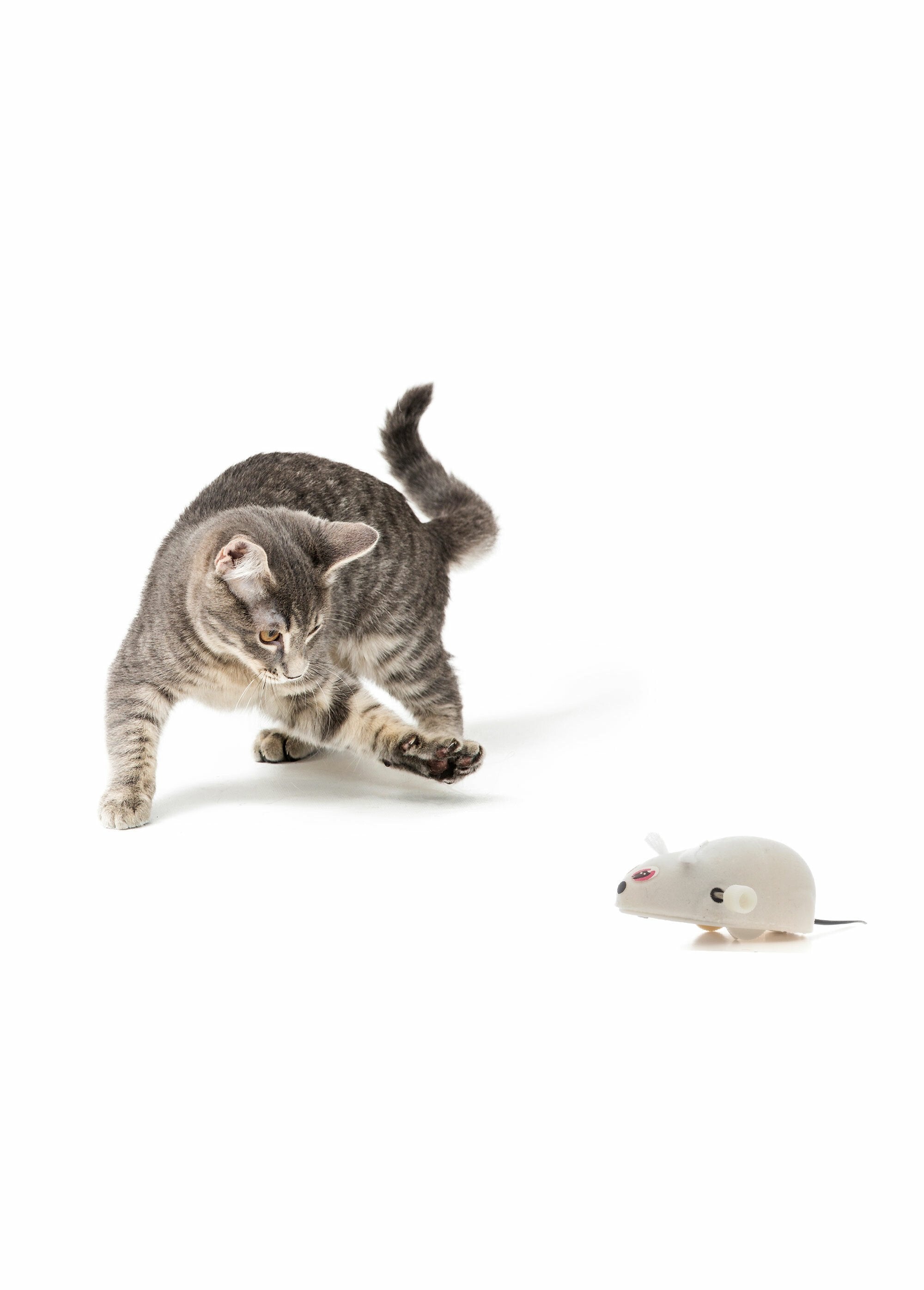 Friction_Mouse_Cat_Toy_White_DE1_slim