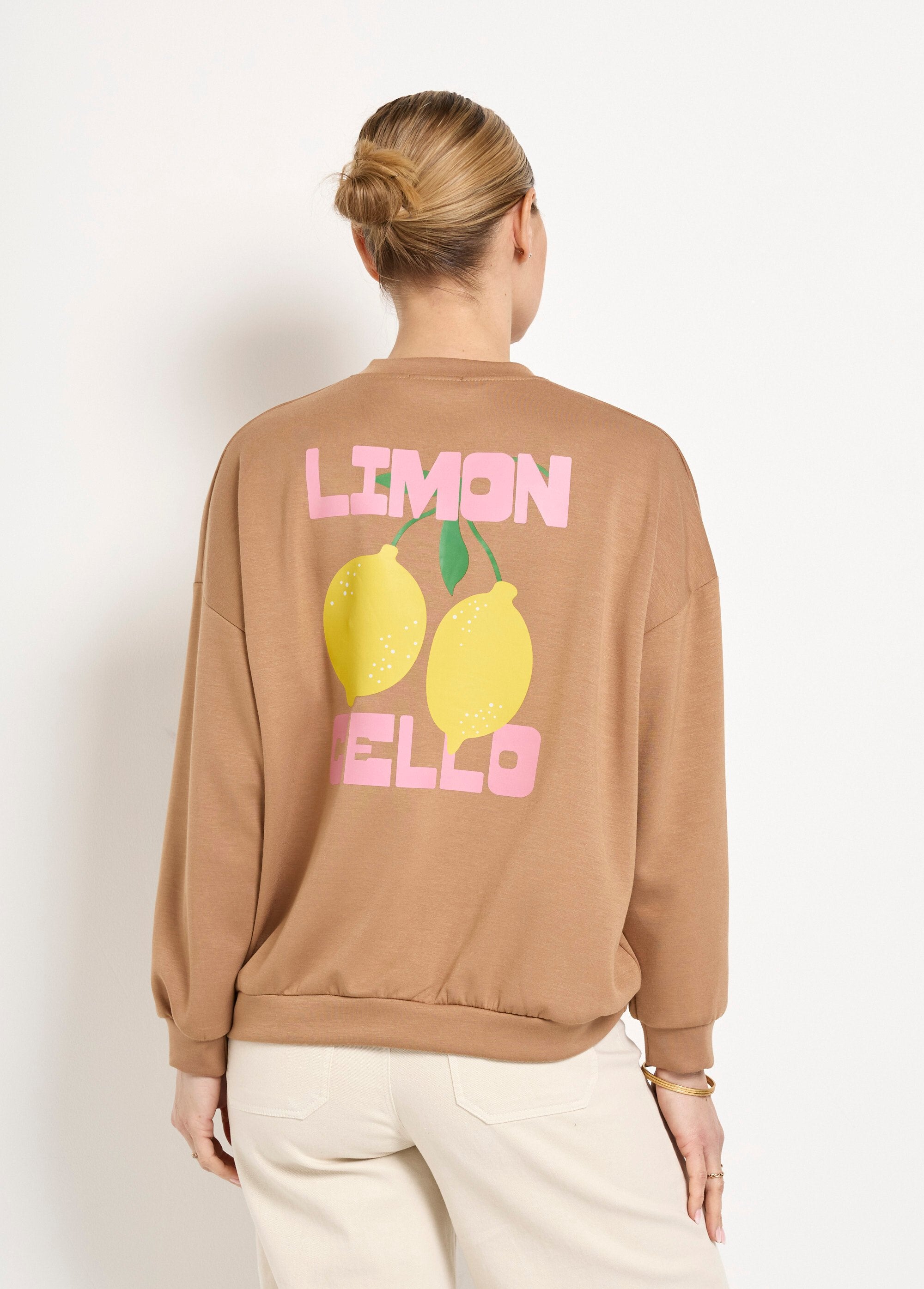Round_neck_sweatshirt_with_orange_pattern_in_soft_knit_camel_DO1_slim